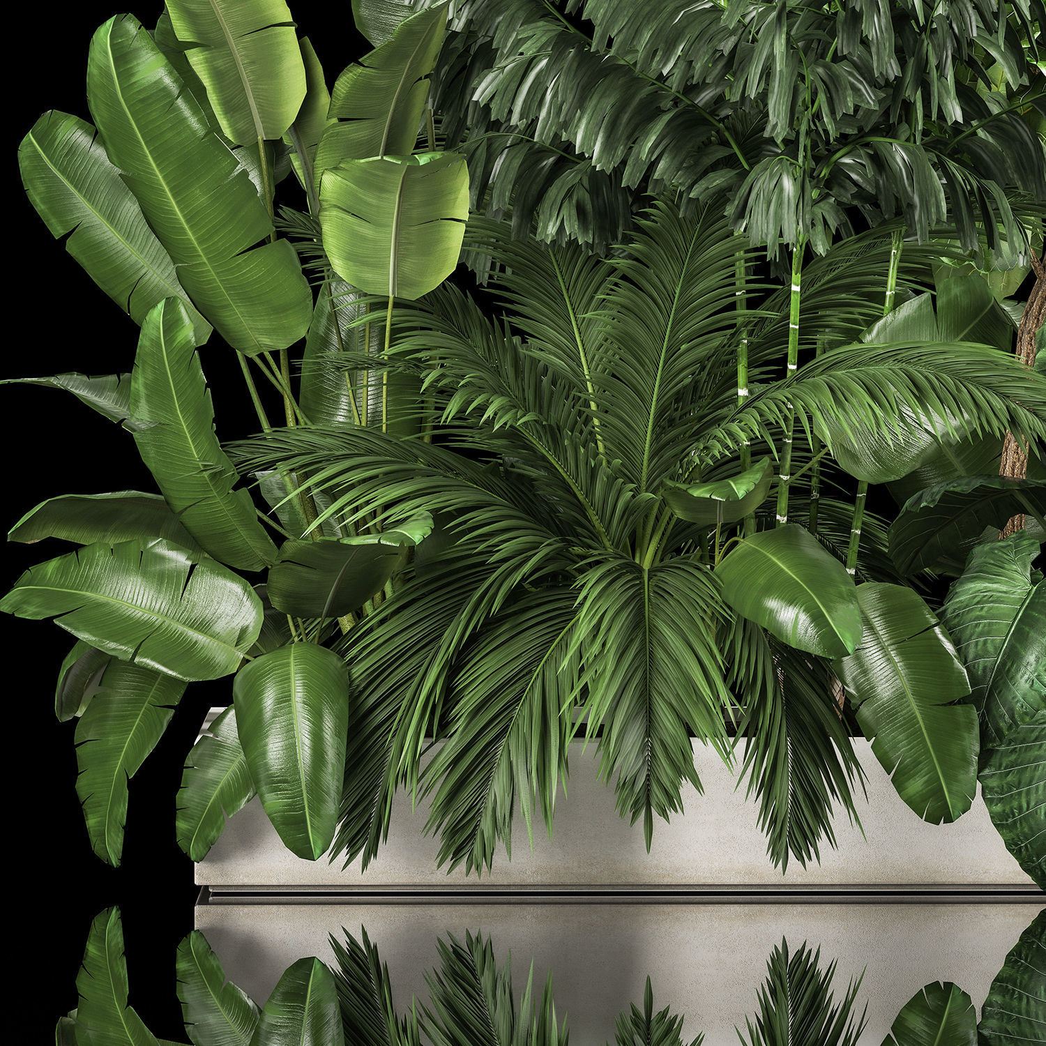 Flowerbed Of Plants With Tropical Thickets 1113 3D model_1