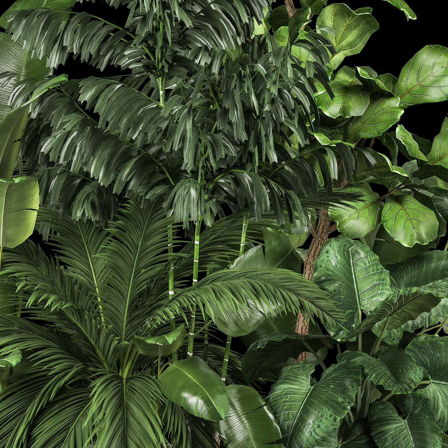 Flowerbed Of Plants With Tropical Thickets 1113 3D model_2