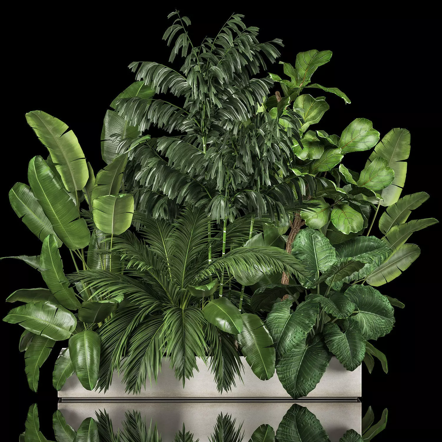 Flowerbed Of Plants With Tropical Thickets 1113 3D model_0