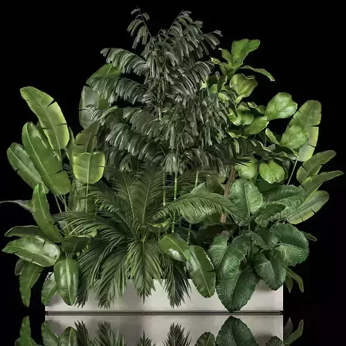 Flowerbed Of Plants With Tropical Thickets 1113 3D model