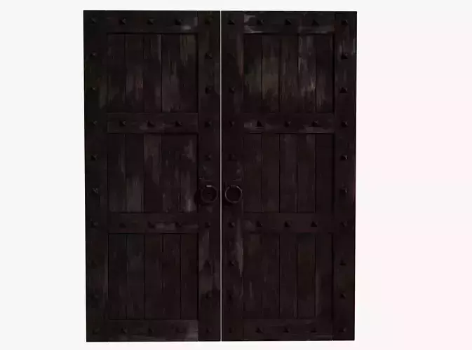 Medieval Door