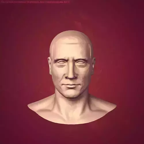 Man Head - Bust 