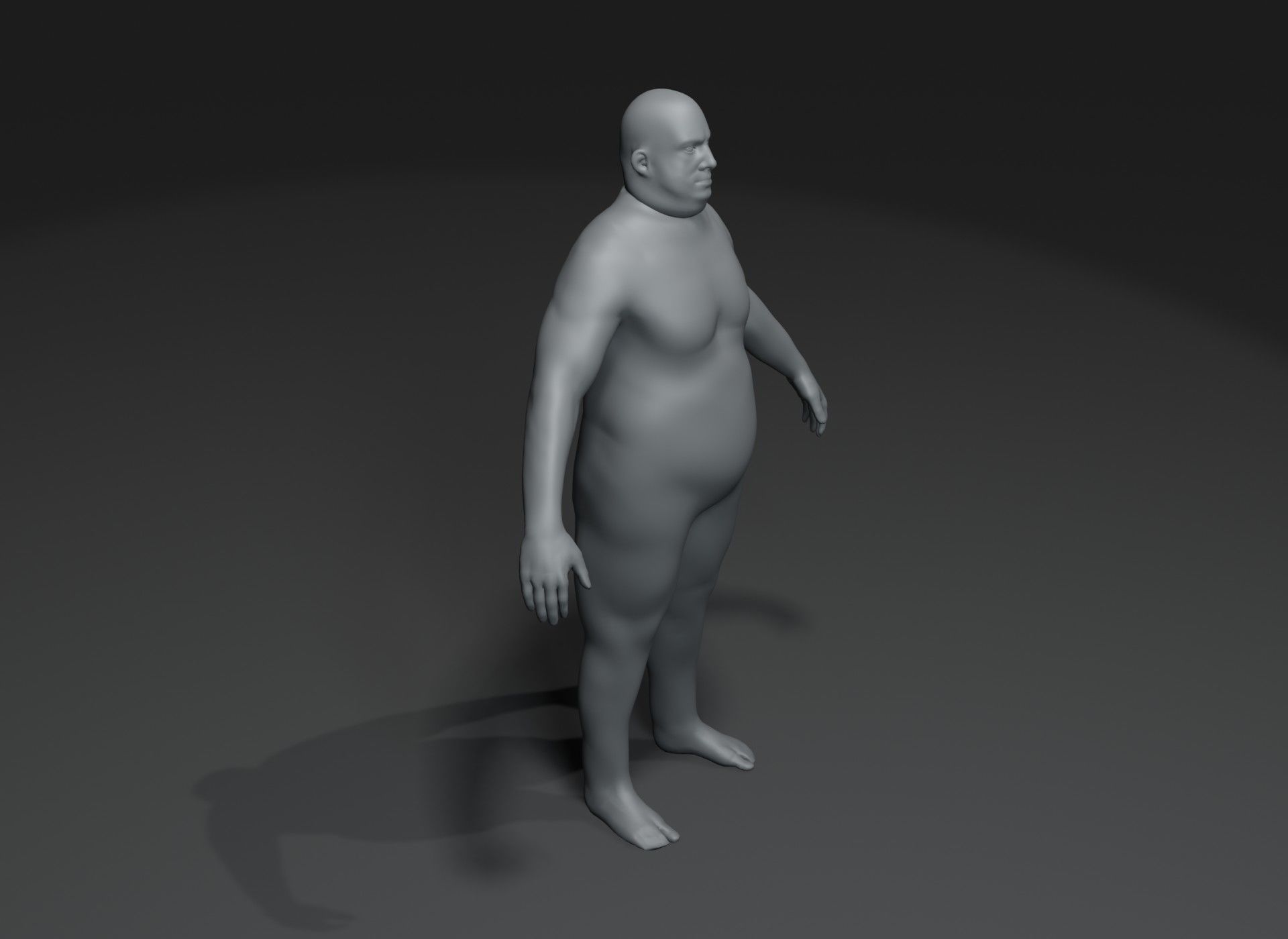 Human Body Base Animated Rigged 3D Model 20k Collection _20