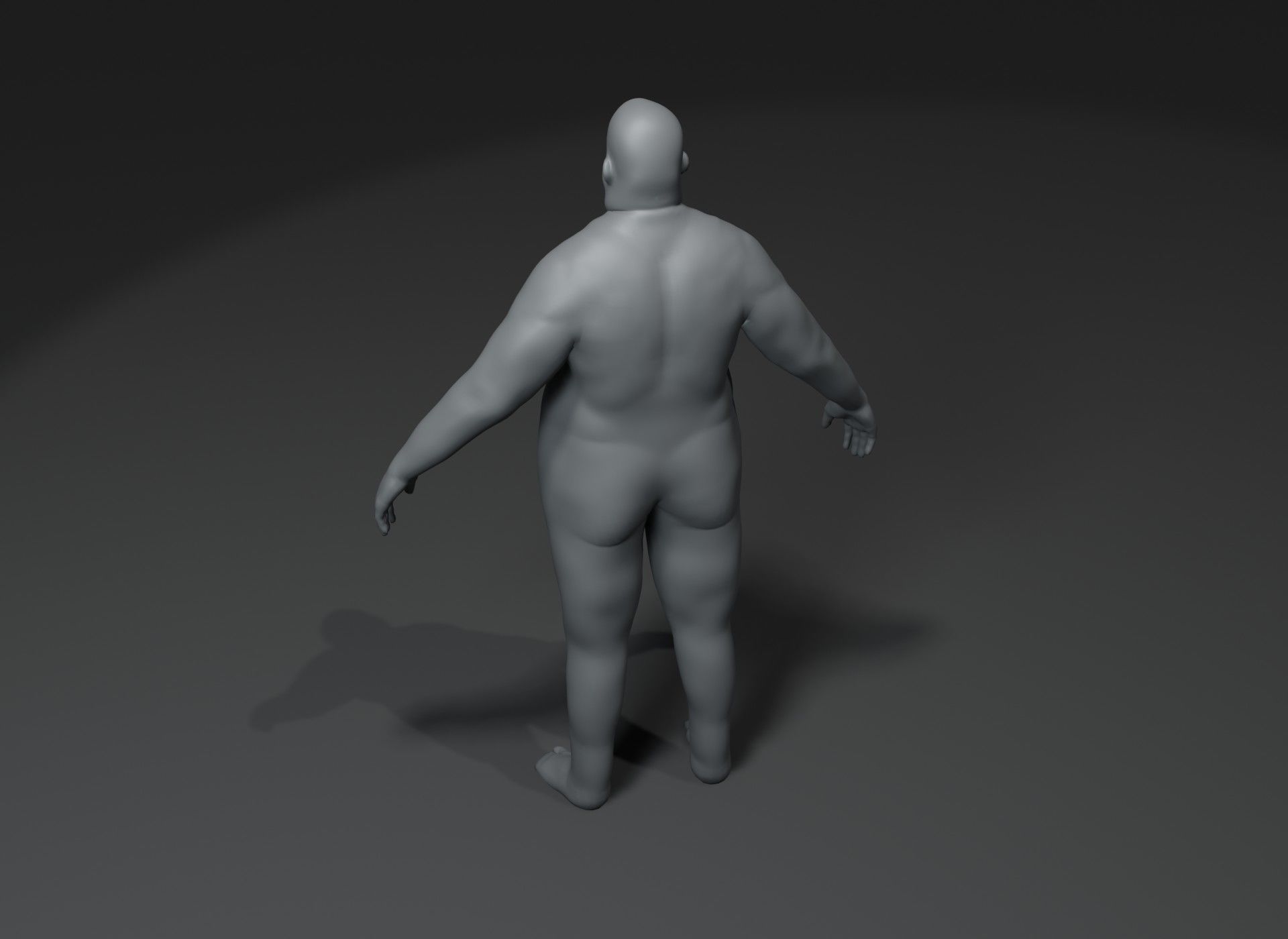 Human Body Base Animated Rigged 3D Model 20k Collection _71