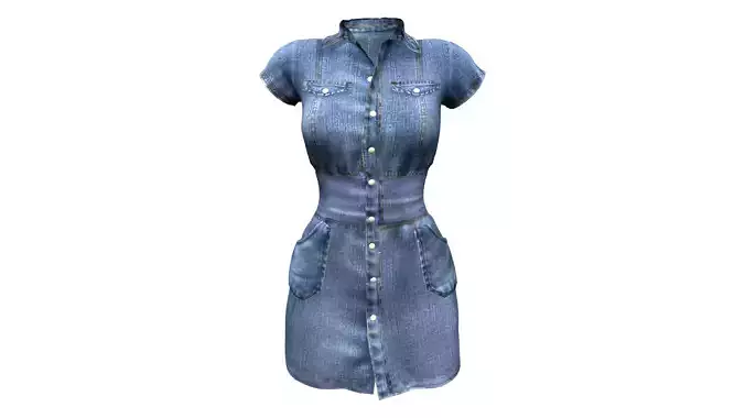 Ladies Denim Tunic Dress