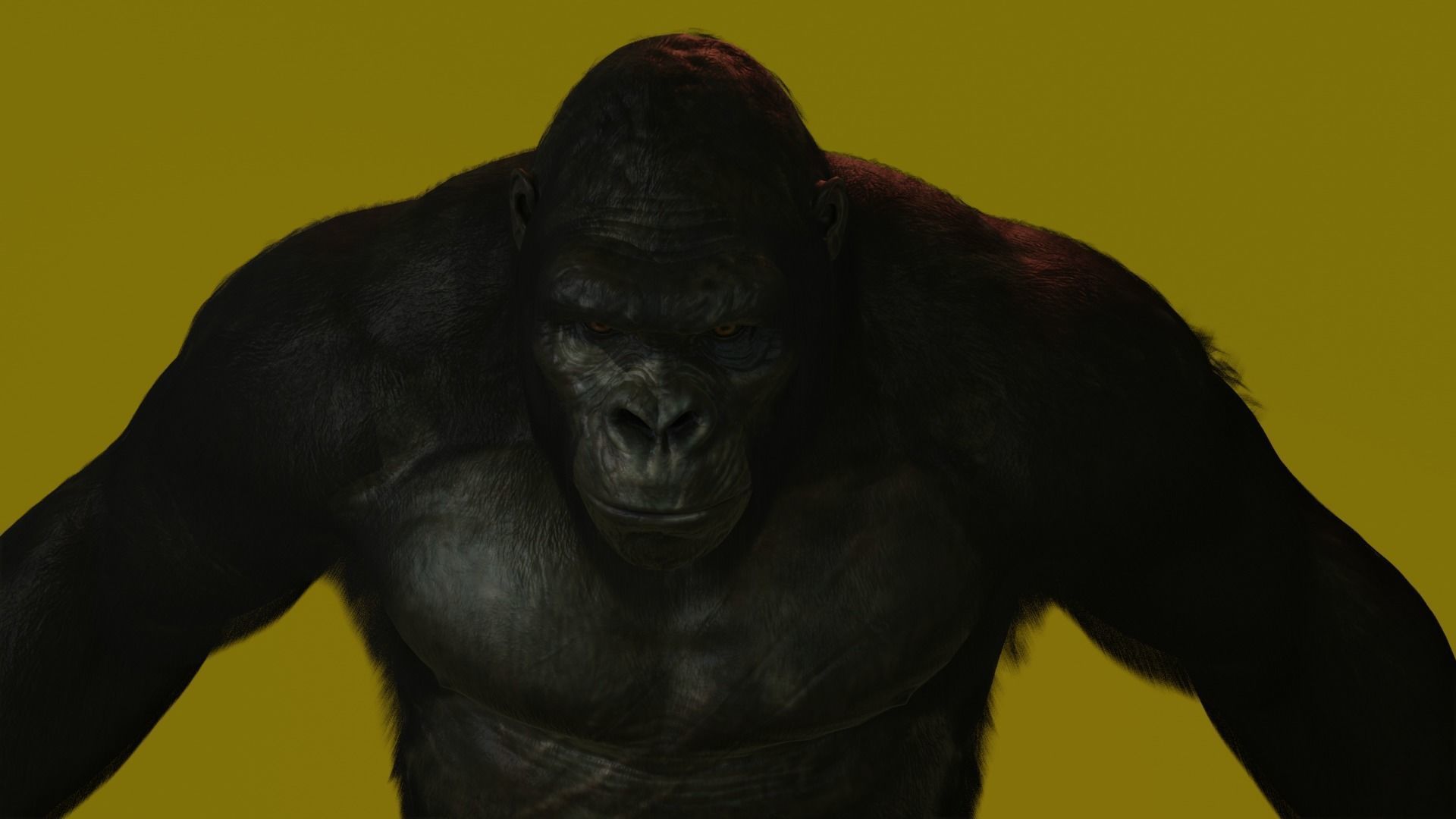 Super Realistic Monkey Kong For Movies or Games Low-poly 3D model_2