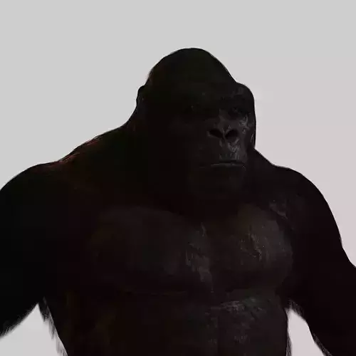 Super Realistic Monkey Kong For Movies or Games Low-poly 3D model
