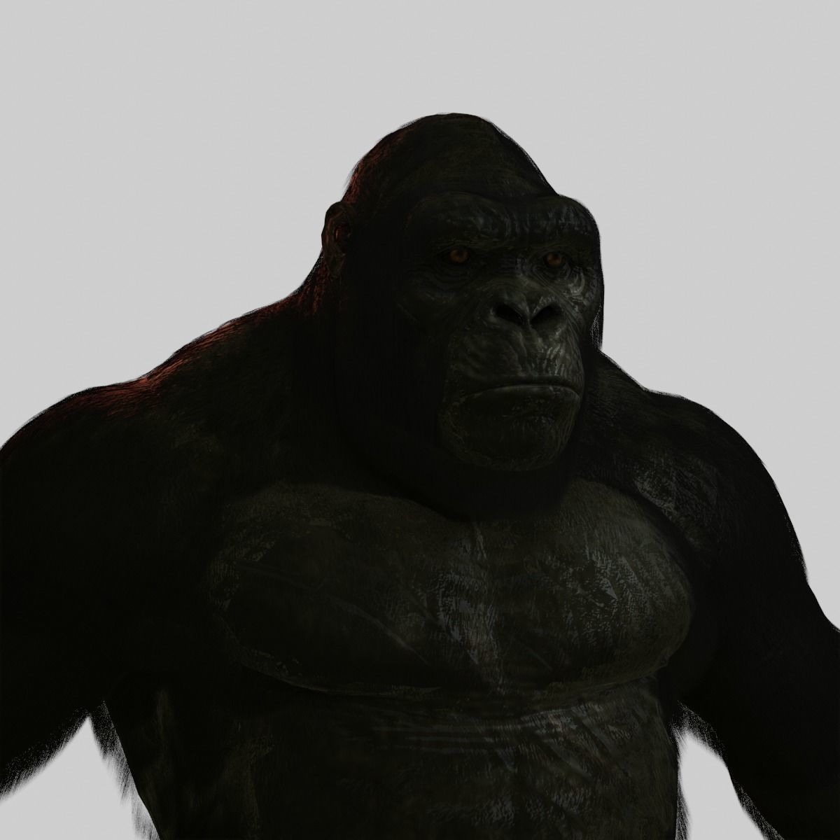Super Realistic Monkey Kong For Movies or Games Low-poly 3D model_5