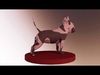 Bull terrier realystic dog cinematic Low-poly 3D model_1