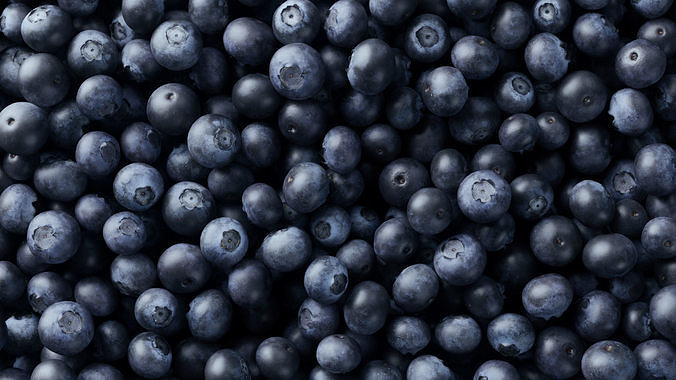 Blueberries - 4 Variations 3D model 5
