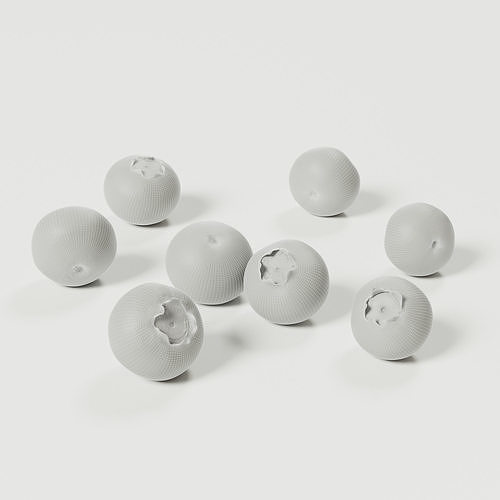 Blueberries - 4 Variations 3D model 2