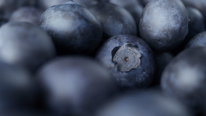 Blueberries - 4 Variations 3D model 7