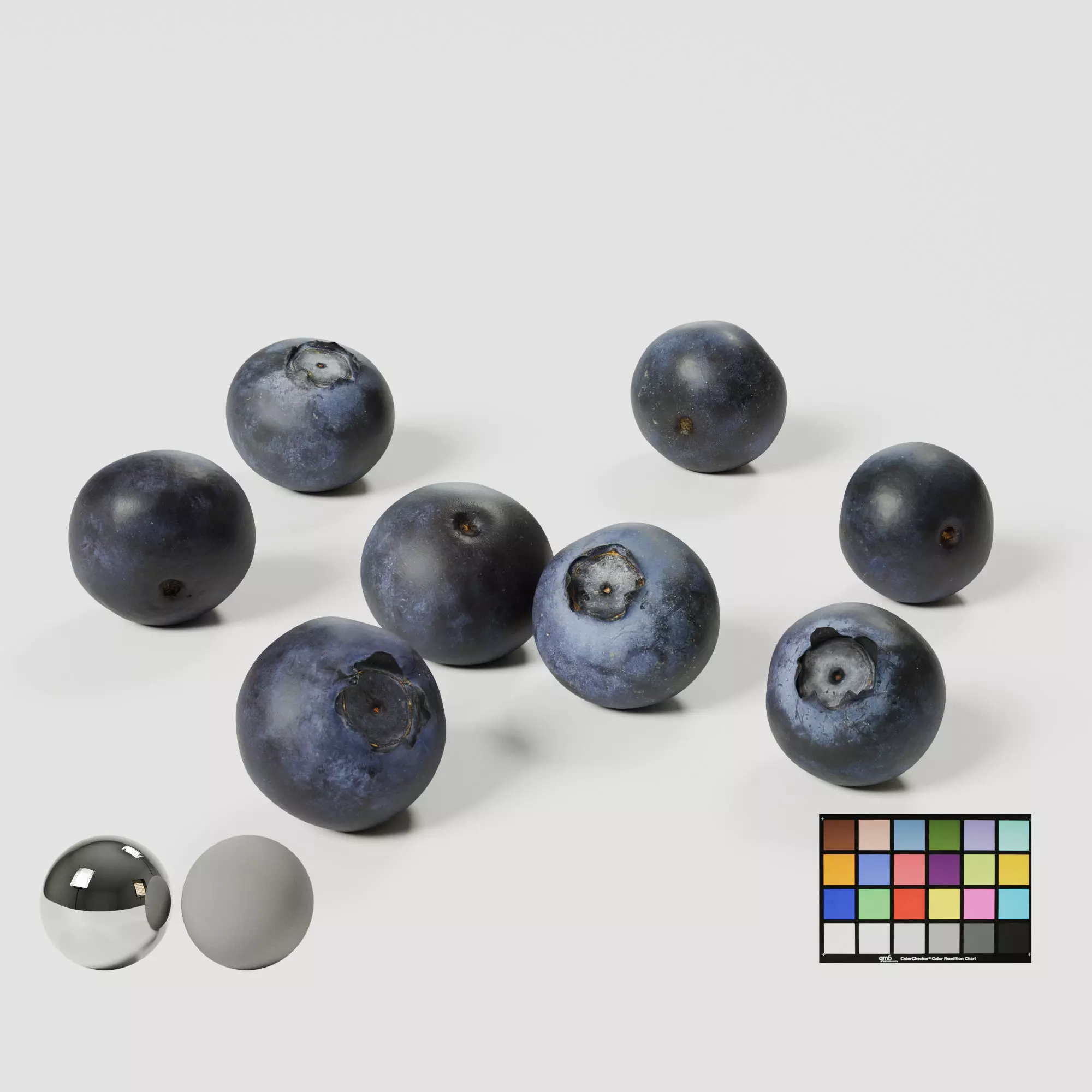 Blueberries - 4 Variations 3D model_0
