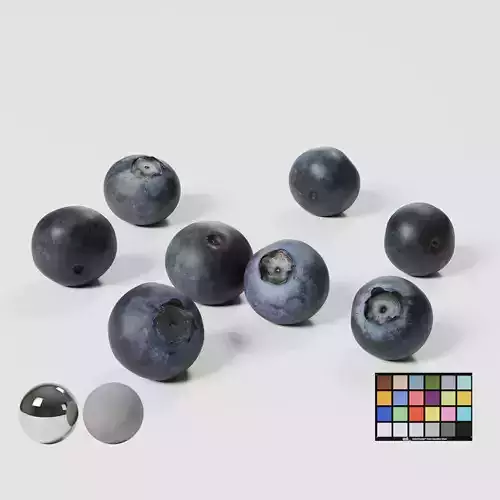 Blueberries - 4 Variations 3D model