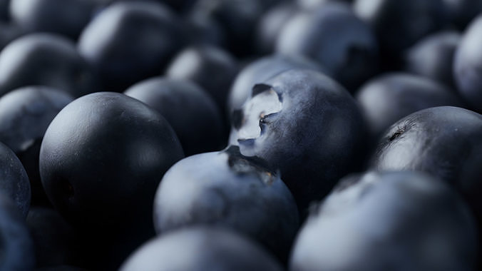 Blueberries - 4 Variations 3D model 6