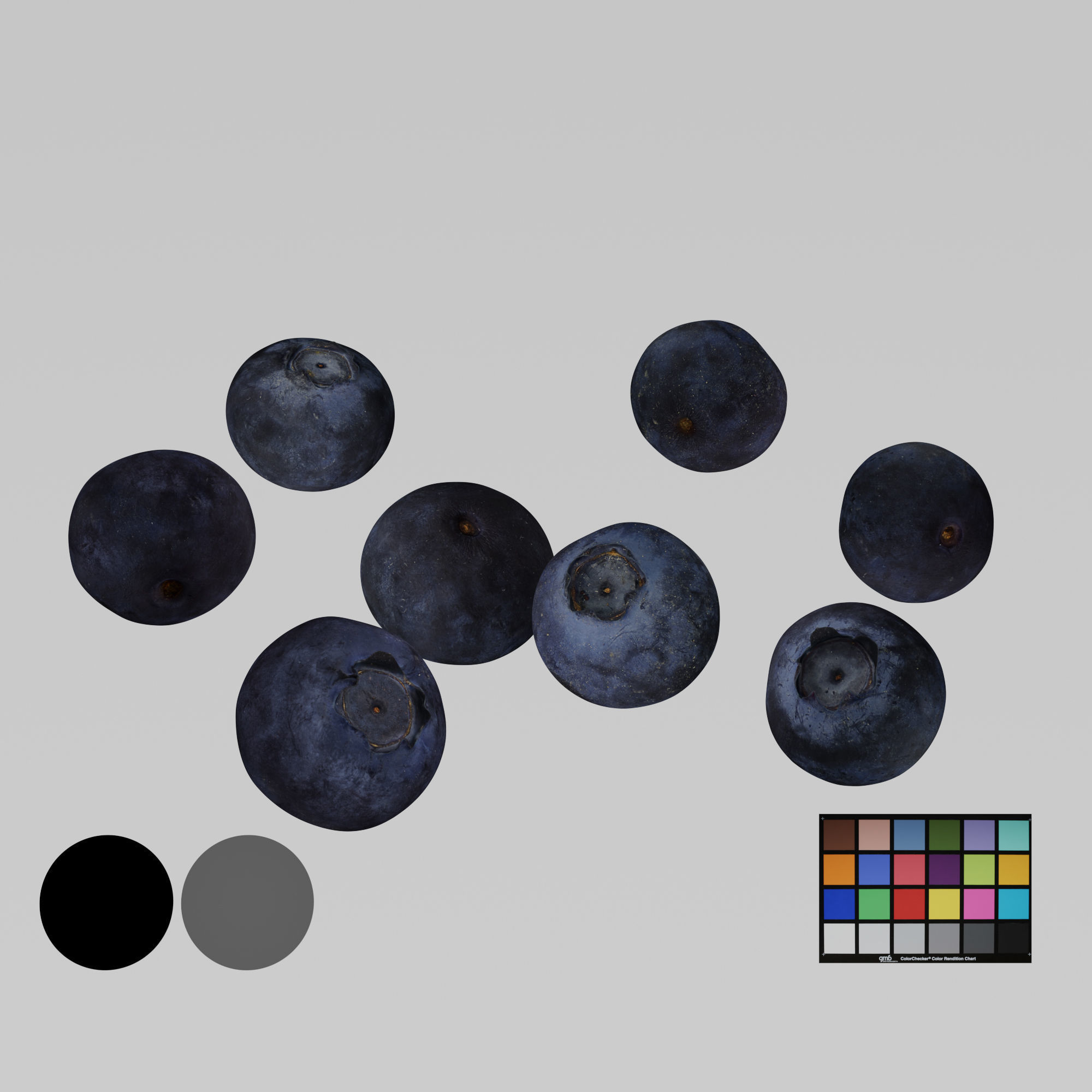 Blueberries - 4 Variations 3D model_2