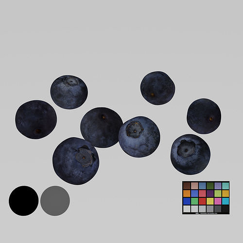 Blueberries - 4 Variations 3D model 3