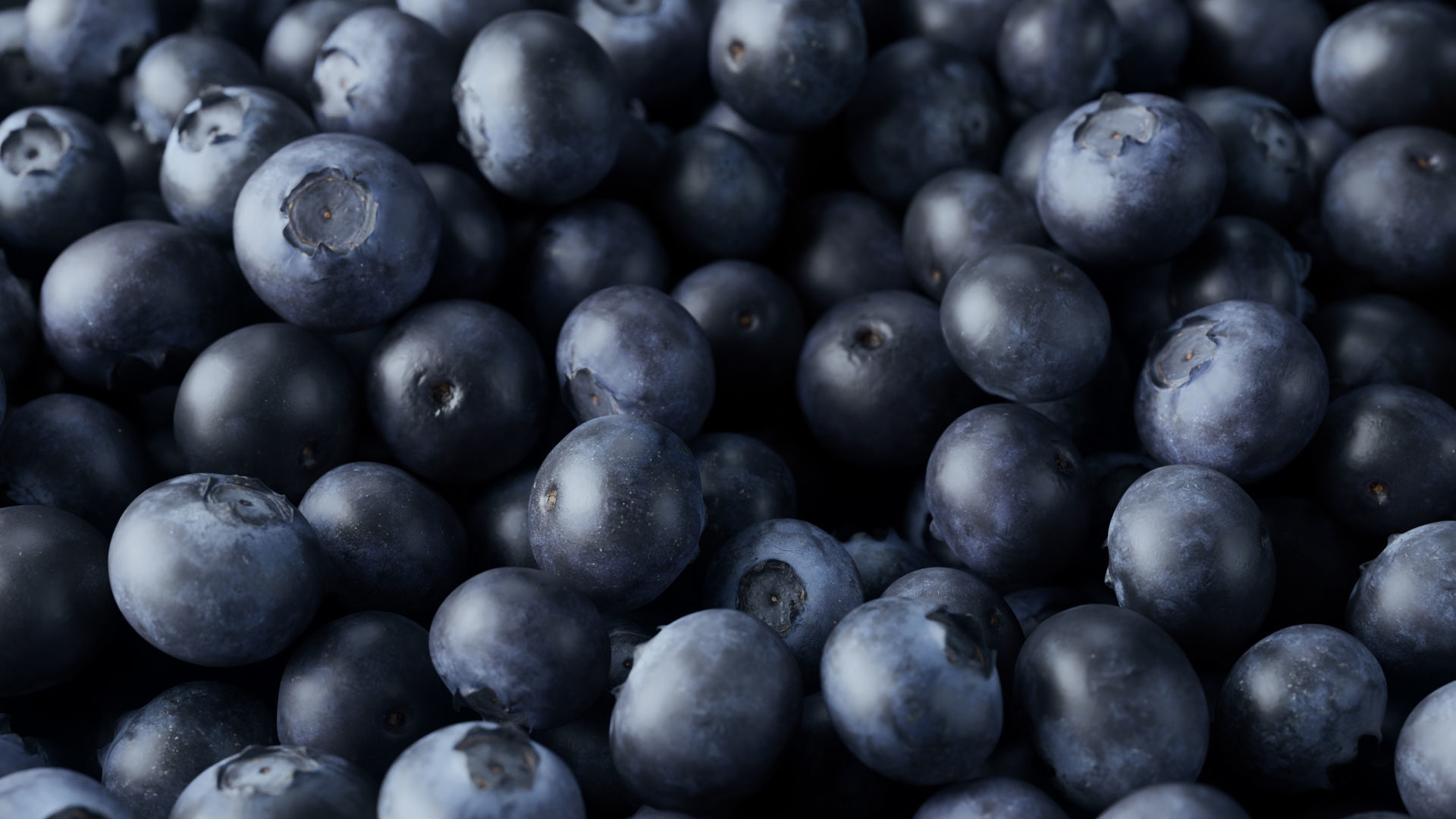 Blueberries - 4 Variations 3D model_8