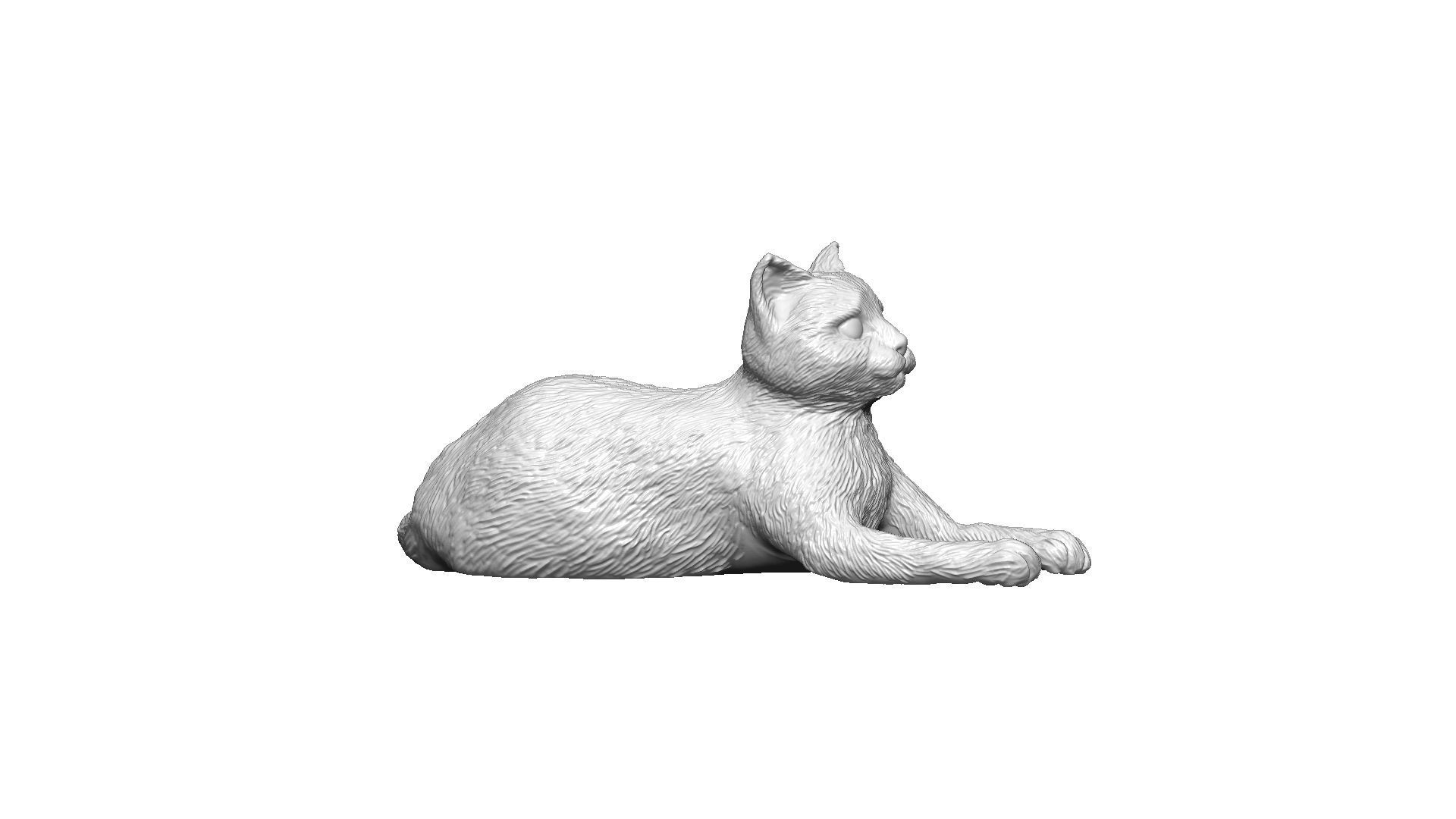 lying cat Zbrush Sculpt 3D modeling highpoly 3D print model_3
