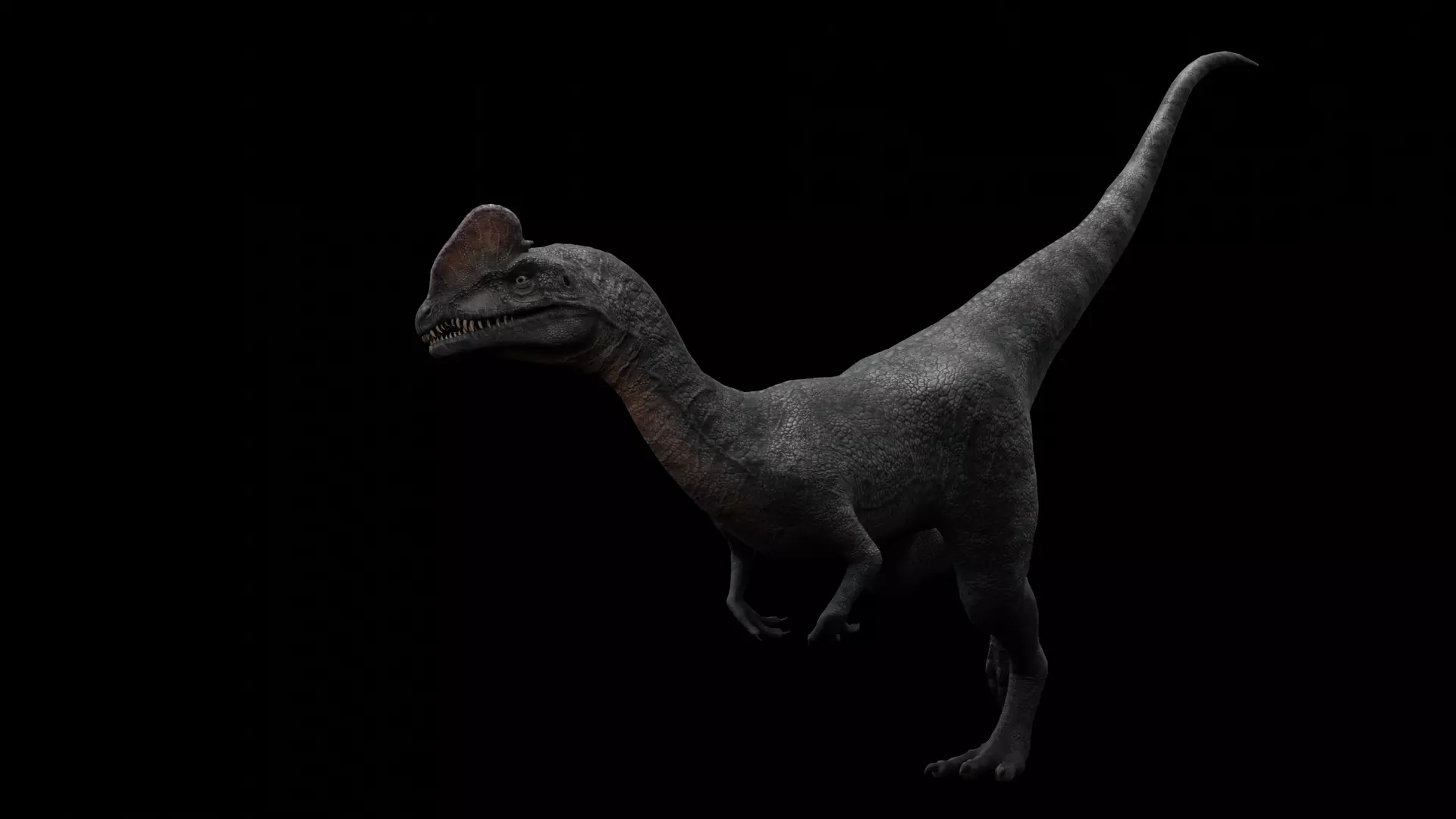 Dilophosaurus Dinosaur Low-poly 3D model_0