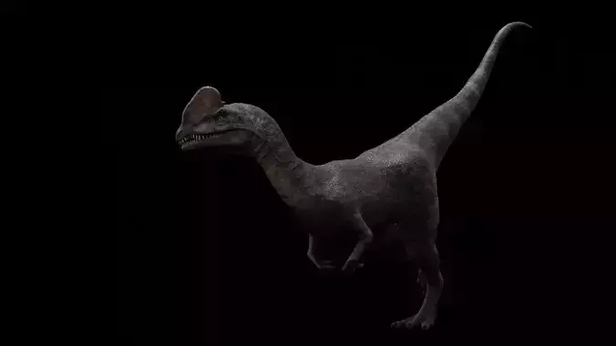 Dilophosaurus Dinosaur Low-poly 3D model