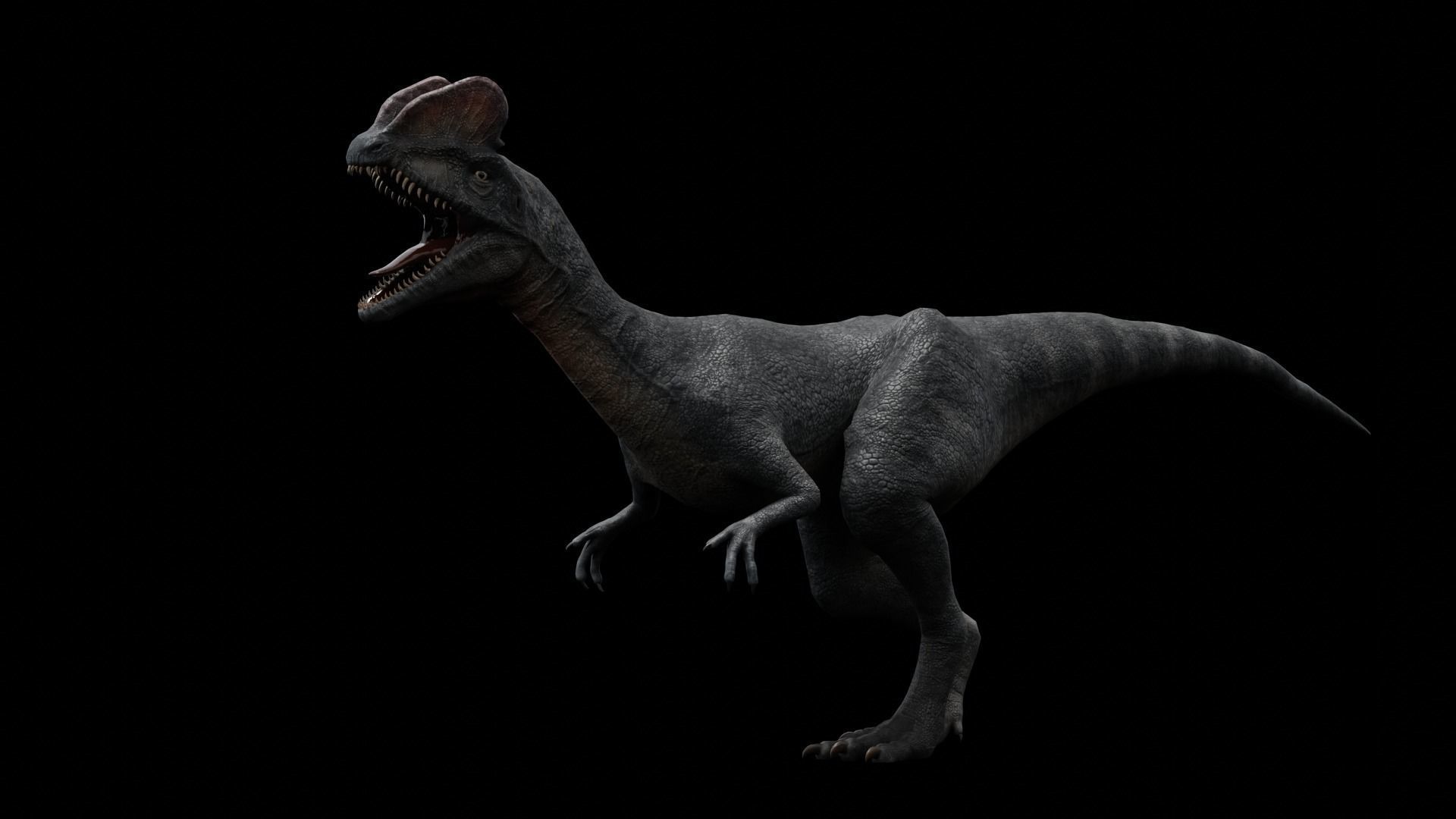 Dilophosaurus Dinosaur Low-poly 3D model_6