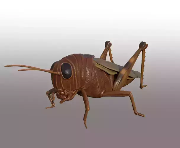 grasshopper 3d model 3D print model