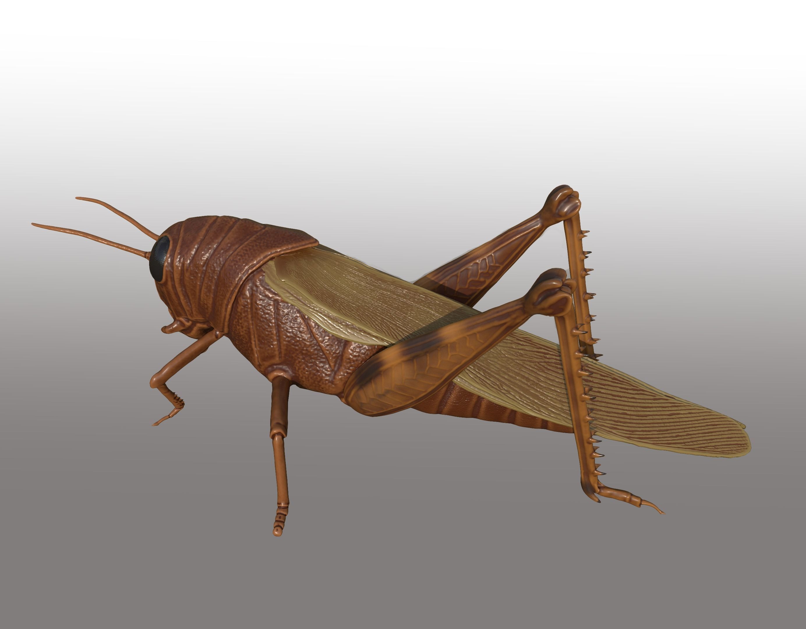 grasshopper 3d model 3D print model_4