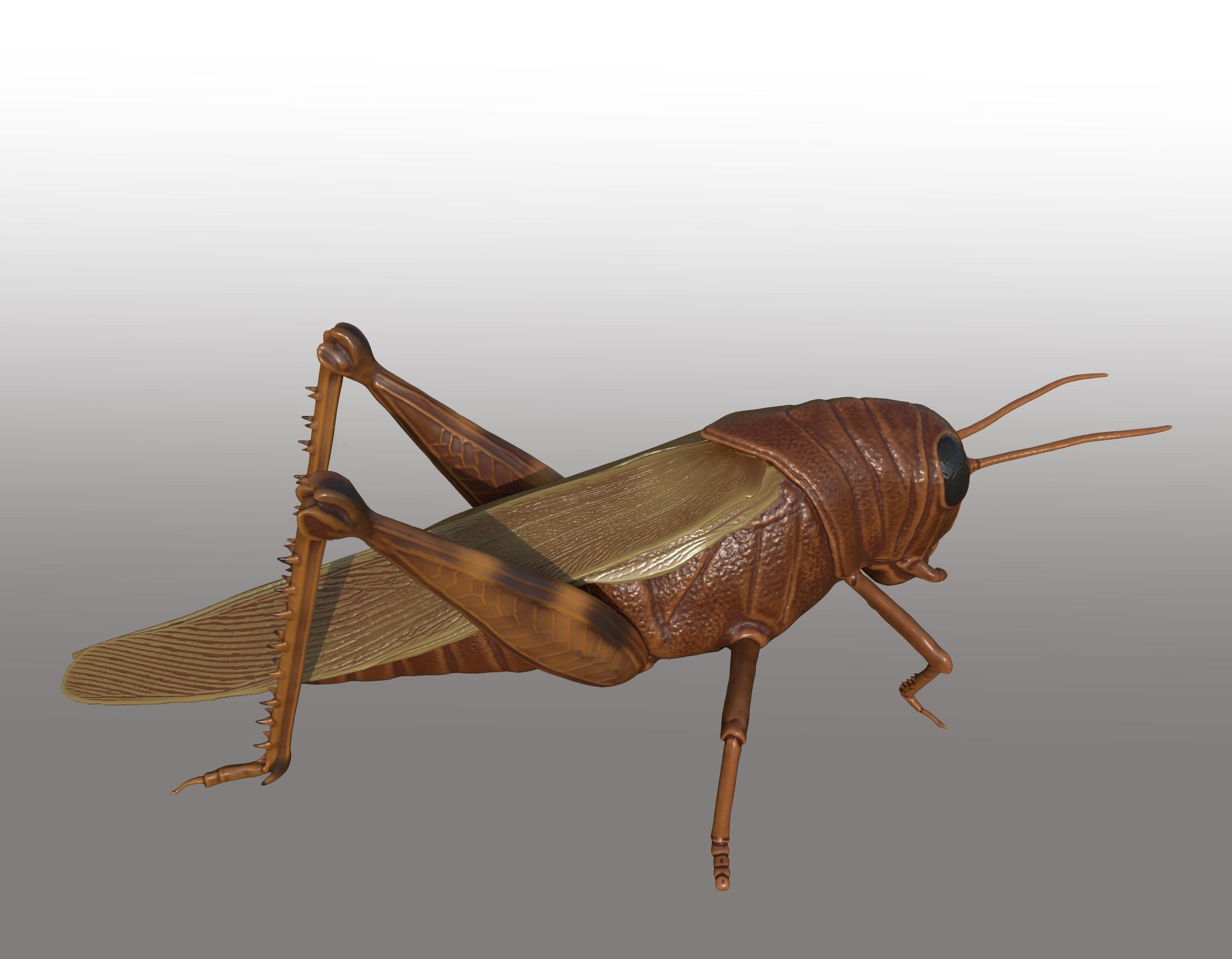grasshopper 3d model 3D print model_3