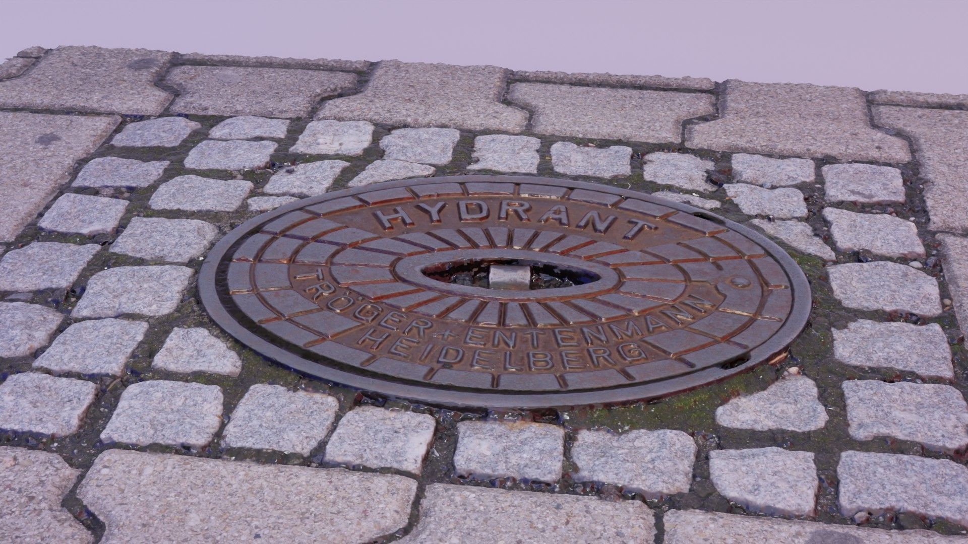 Hydrant street cover high-poly 3D model_1
