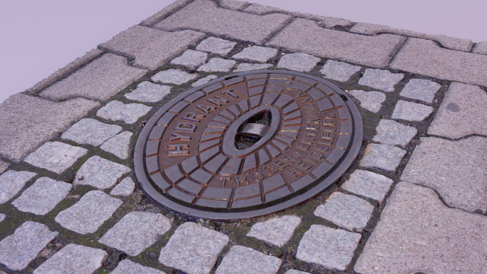 Hydrant street cover high-poly 3D model_3