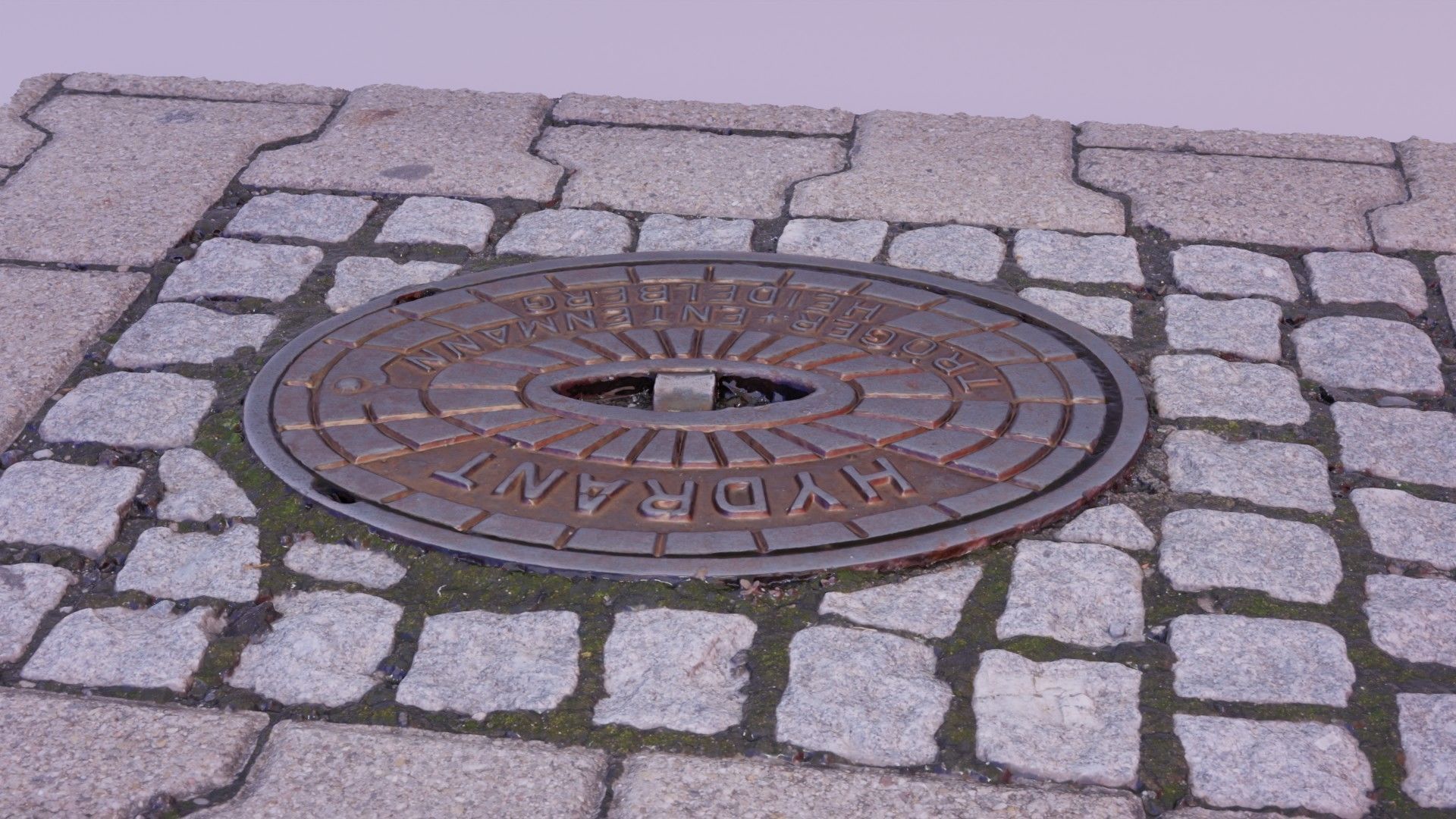 Hydrant street cover high-poly 3D model_6