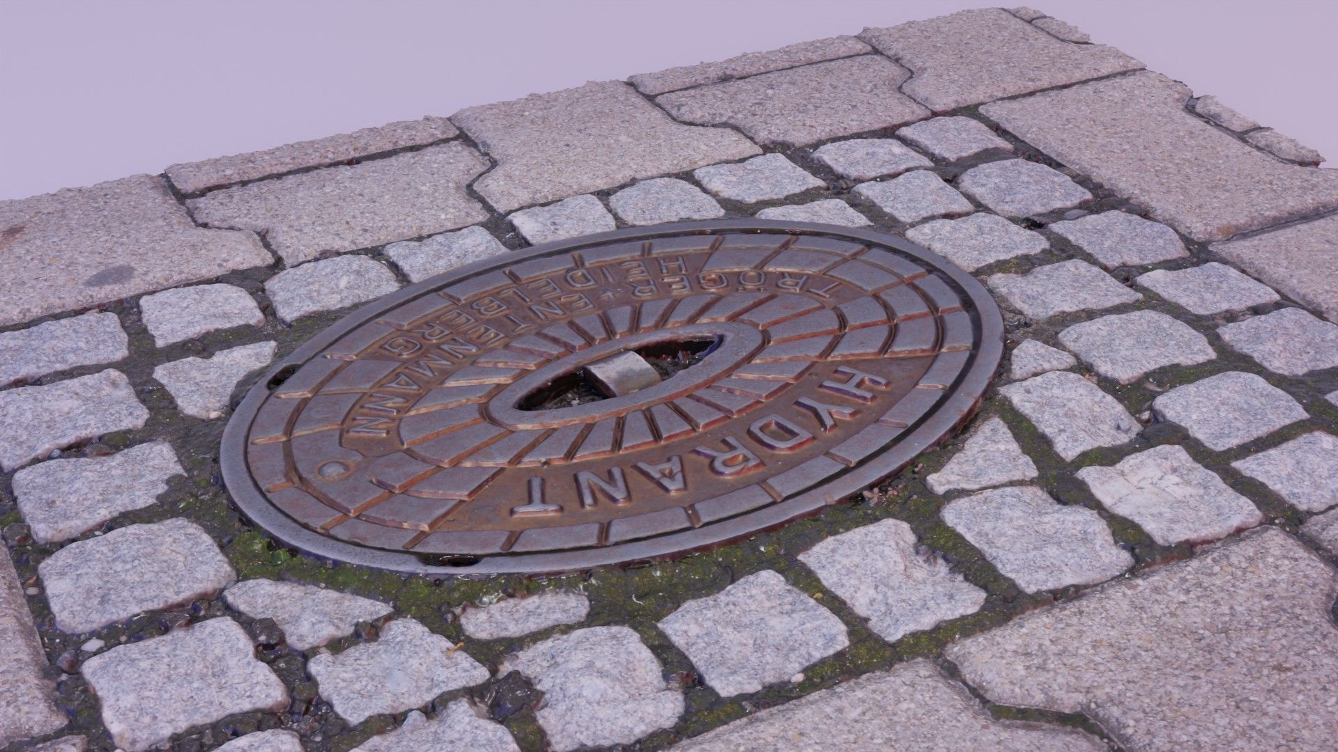 Hydrant street cover high-poly 3D model_7