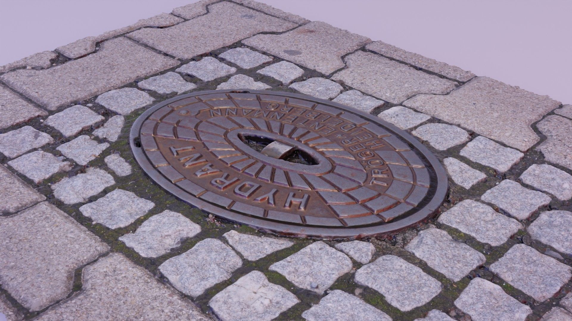 Hydrant street cover high-poly 3D model_5