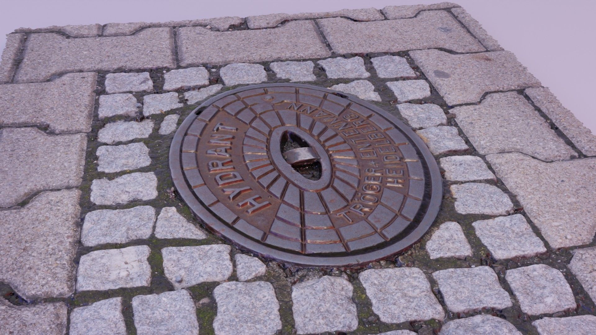 Hydrant street cover high-poly 3D model_4