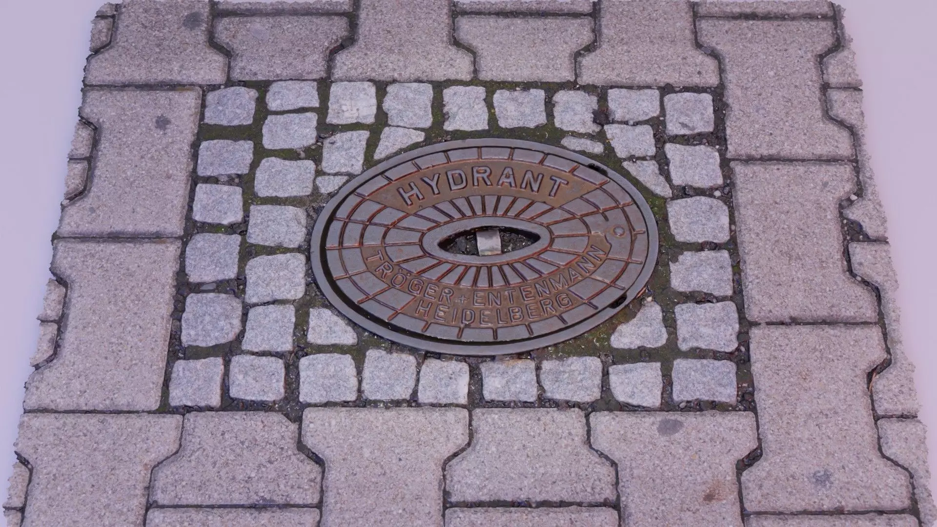 Hydrant street cover high-poly 3D model_0