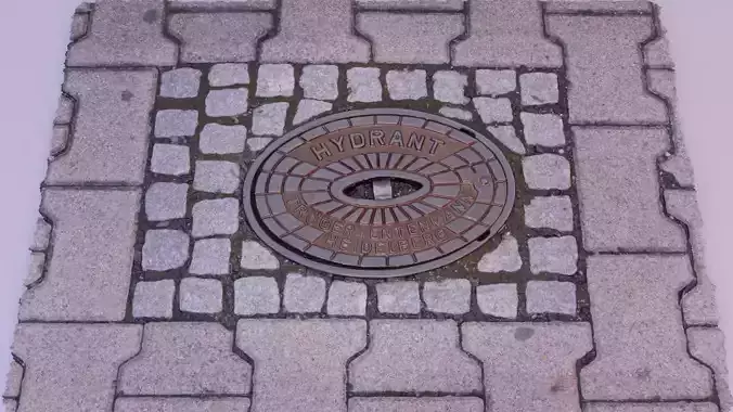 Hydrant street cover high-poly