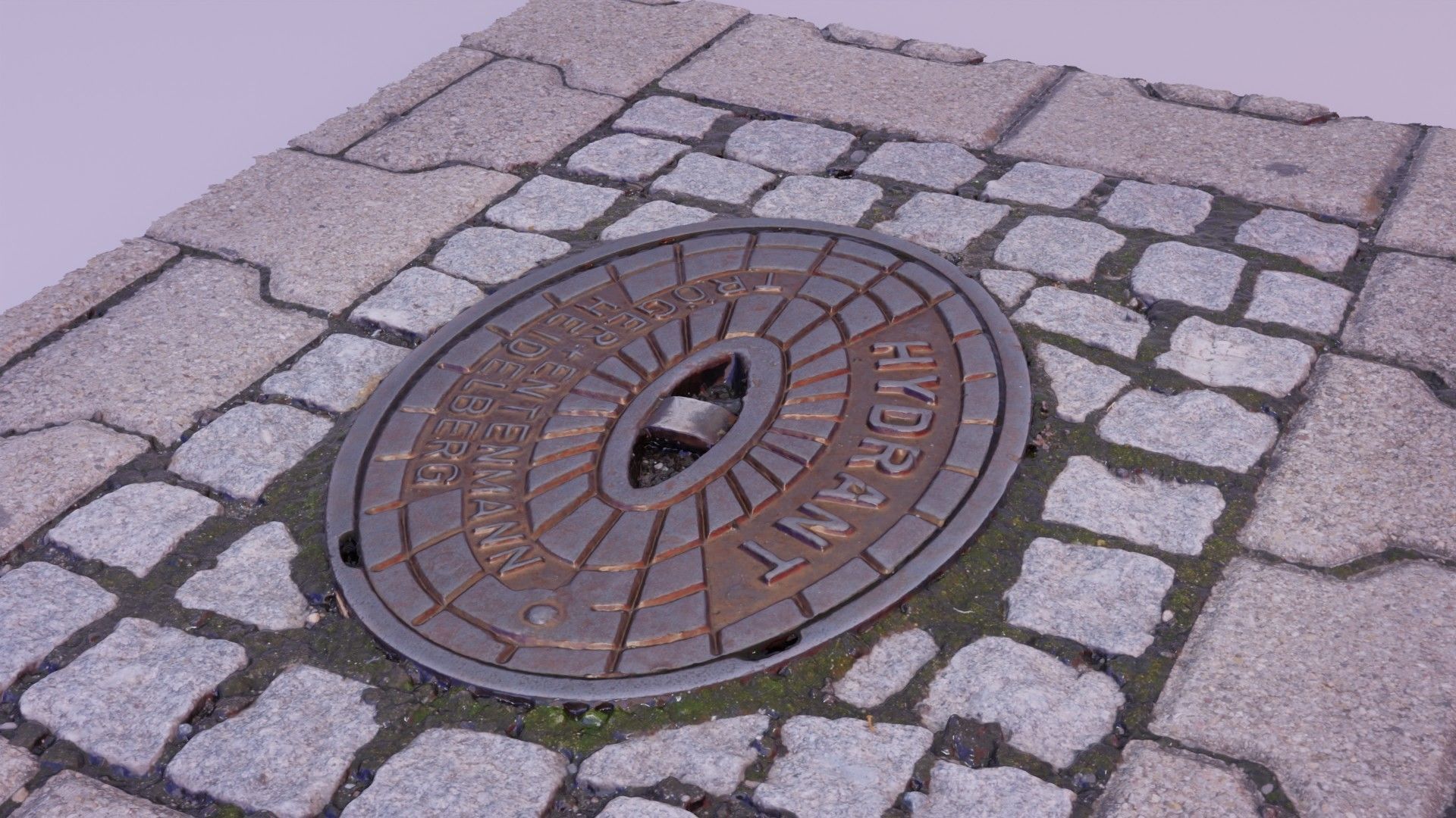 Hydrant street cover high-poly 3D model_8