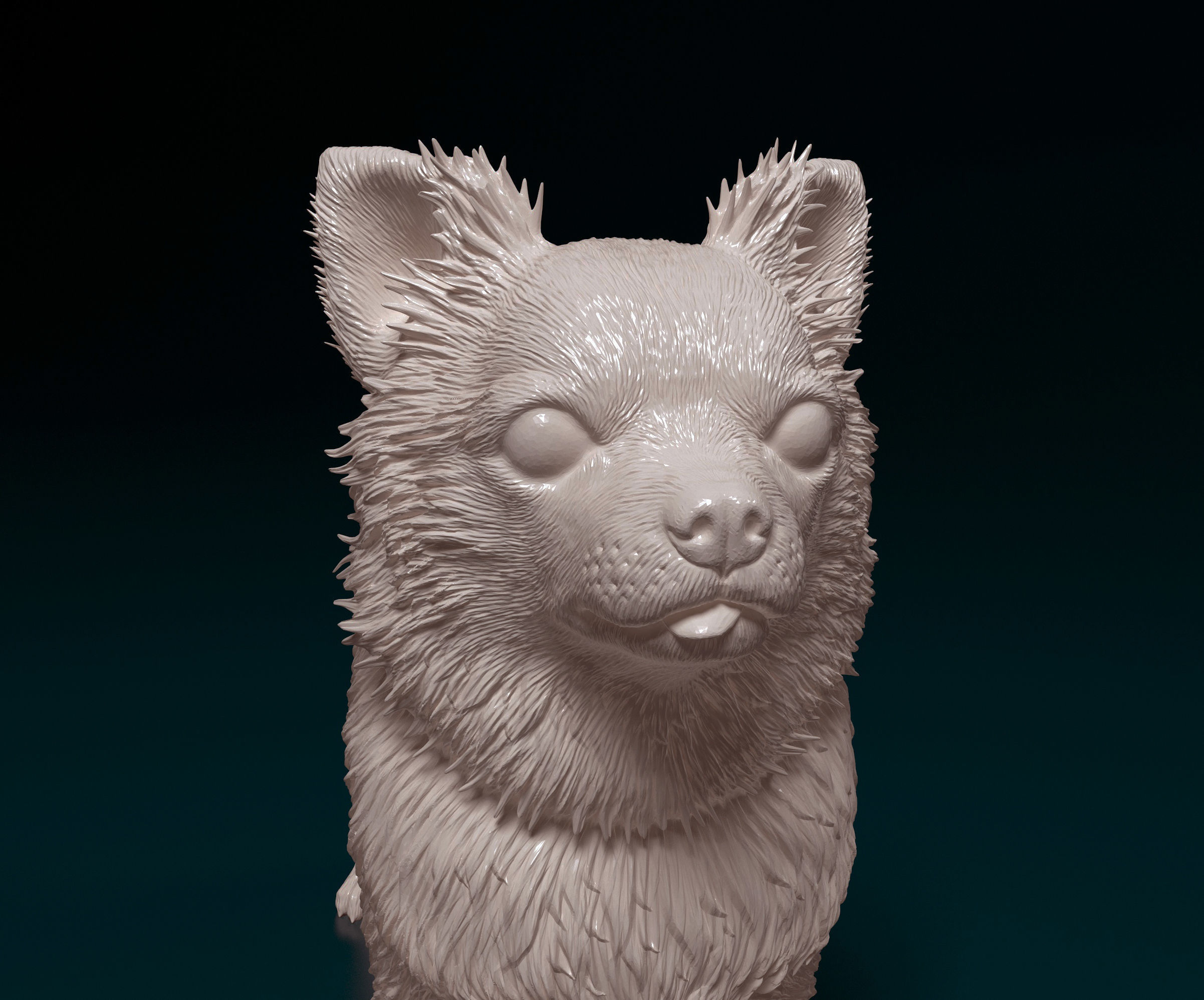 Chihuahua long-haired  3D print model_8