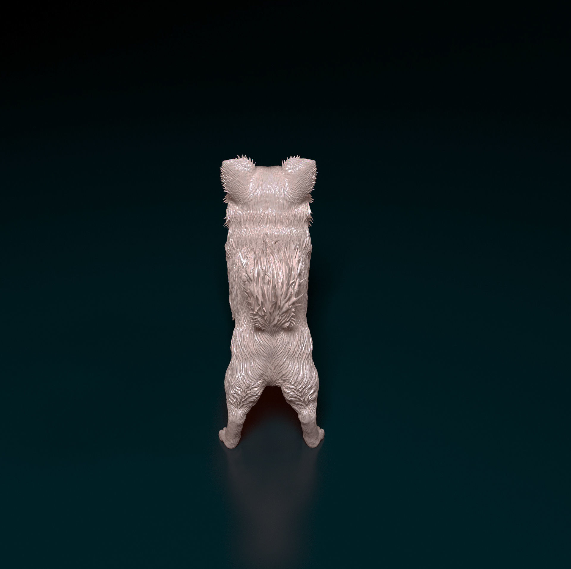 Chihuahua long-haired  3D print model_4