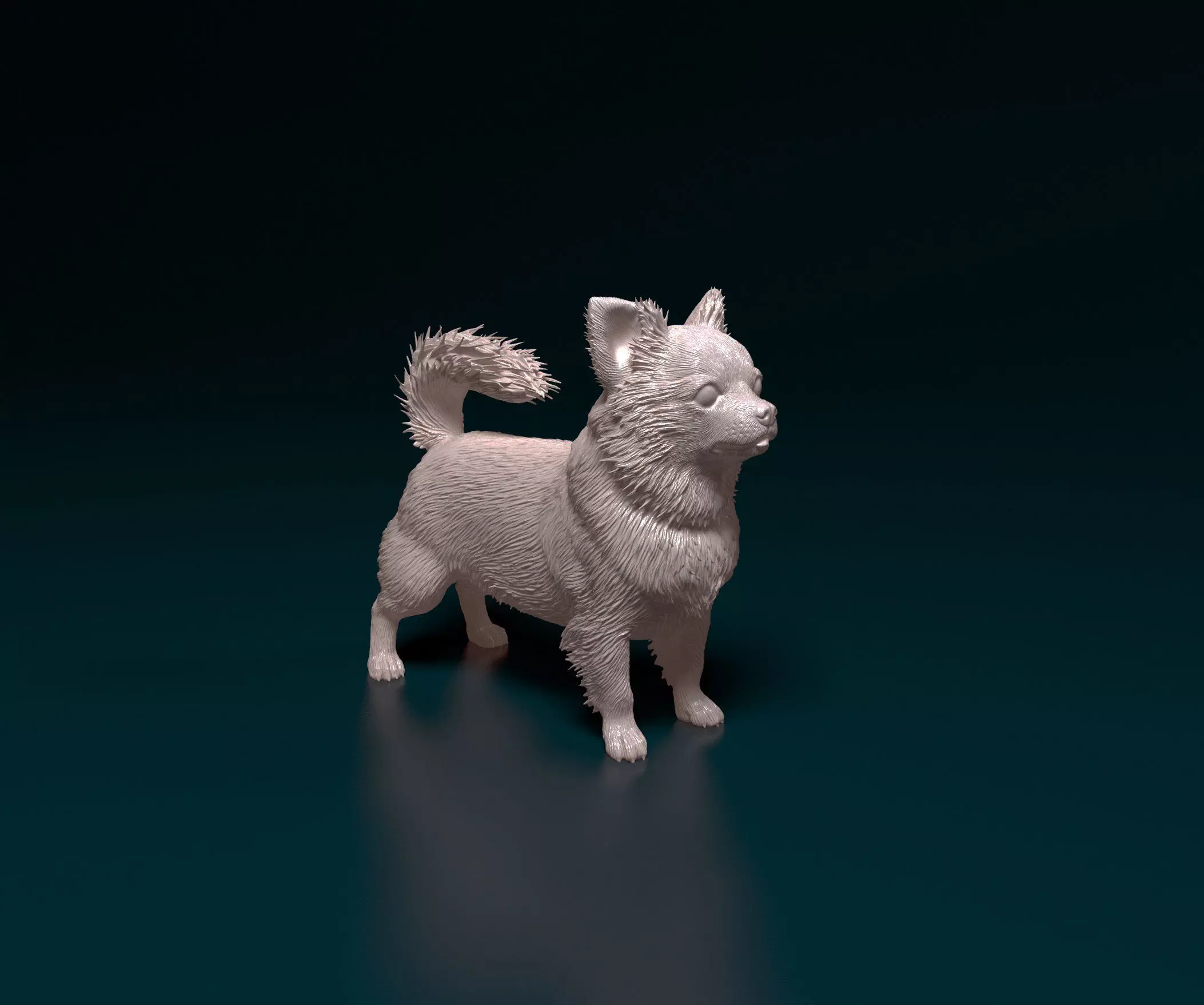 Chihuahua long-haired  3D print model_0