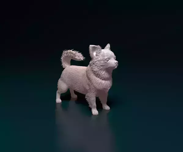 Chihuahua long-haired  3D print model