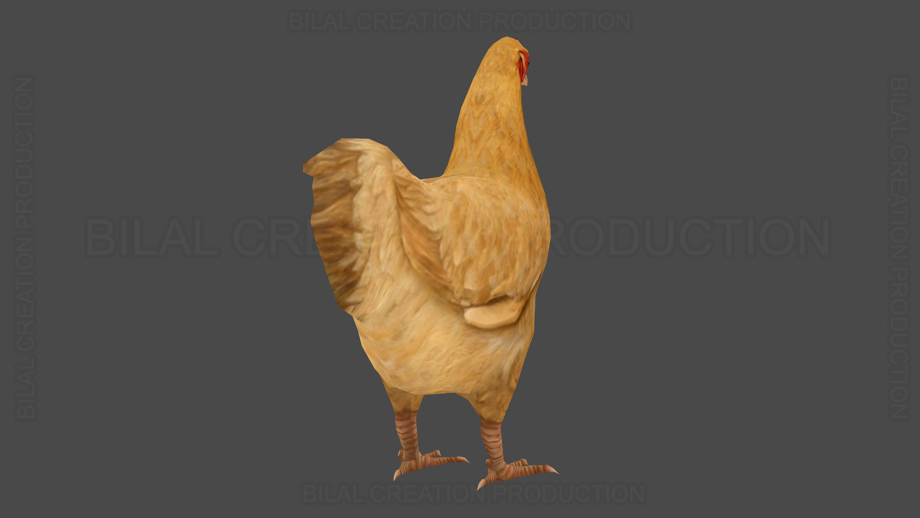 Hen chicken Animated Low-poly 3D model_14