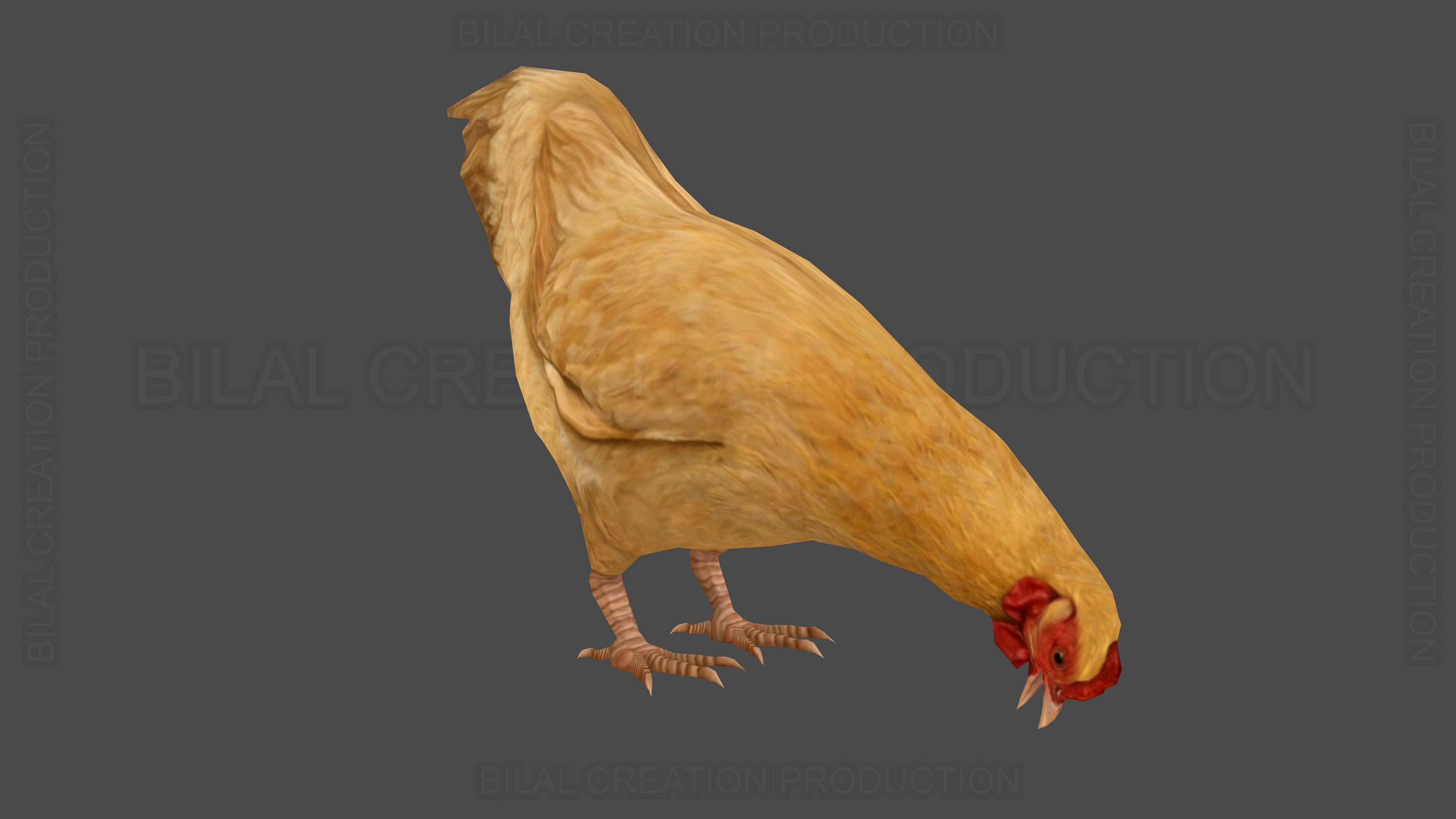Hen chicken Animated Low-poly 3D model_9