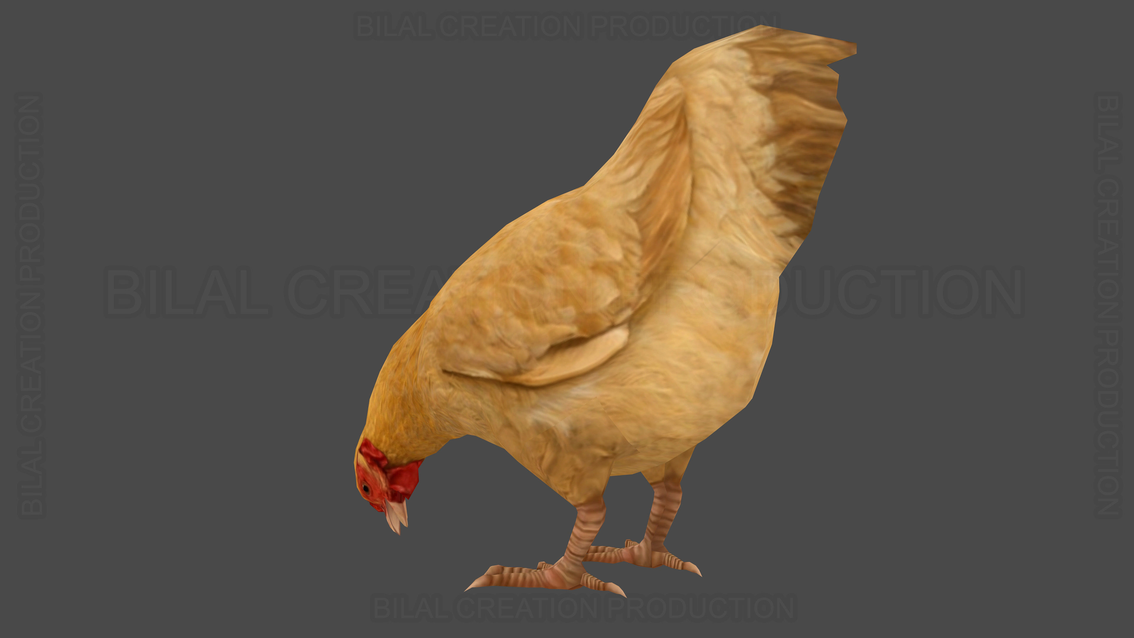 Hen chicken Animated Low-poly 3D model_10