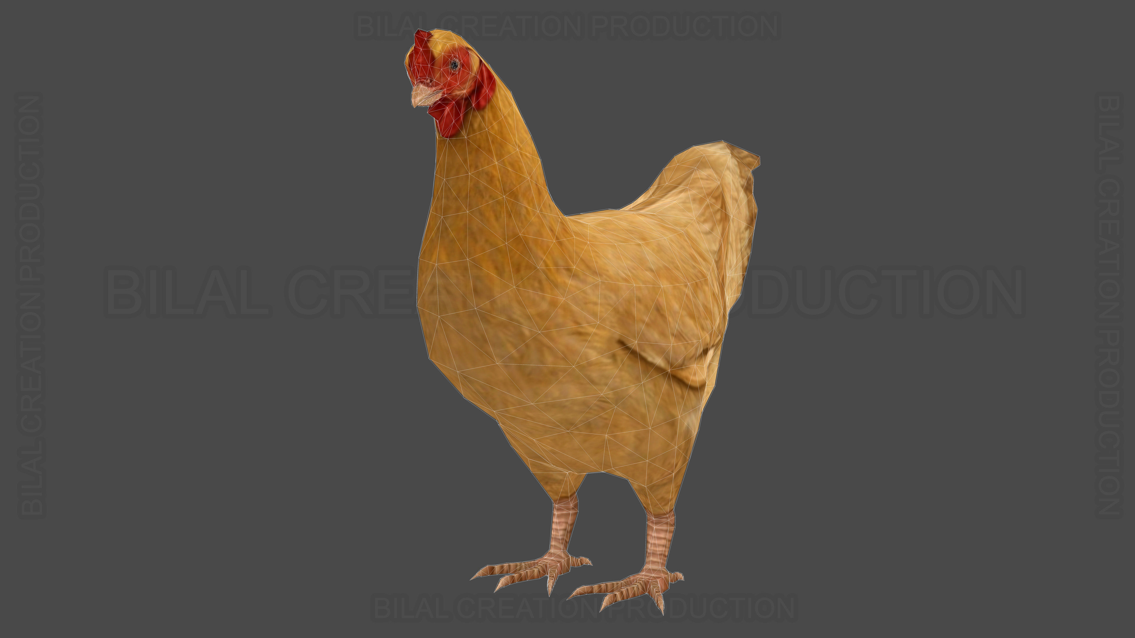 Hen chicken Animated Low-poly 3D model_18