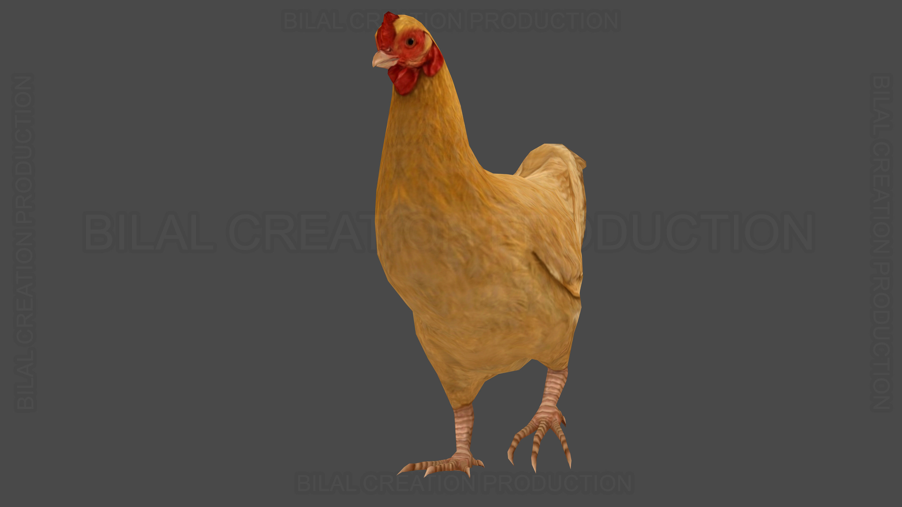 Hen chicken Animated Low-poly 3D model_11