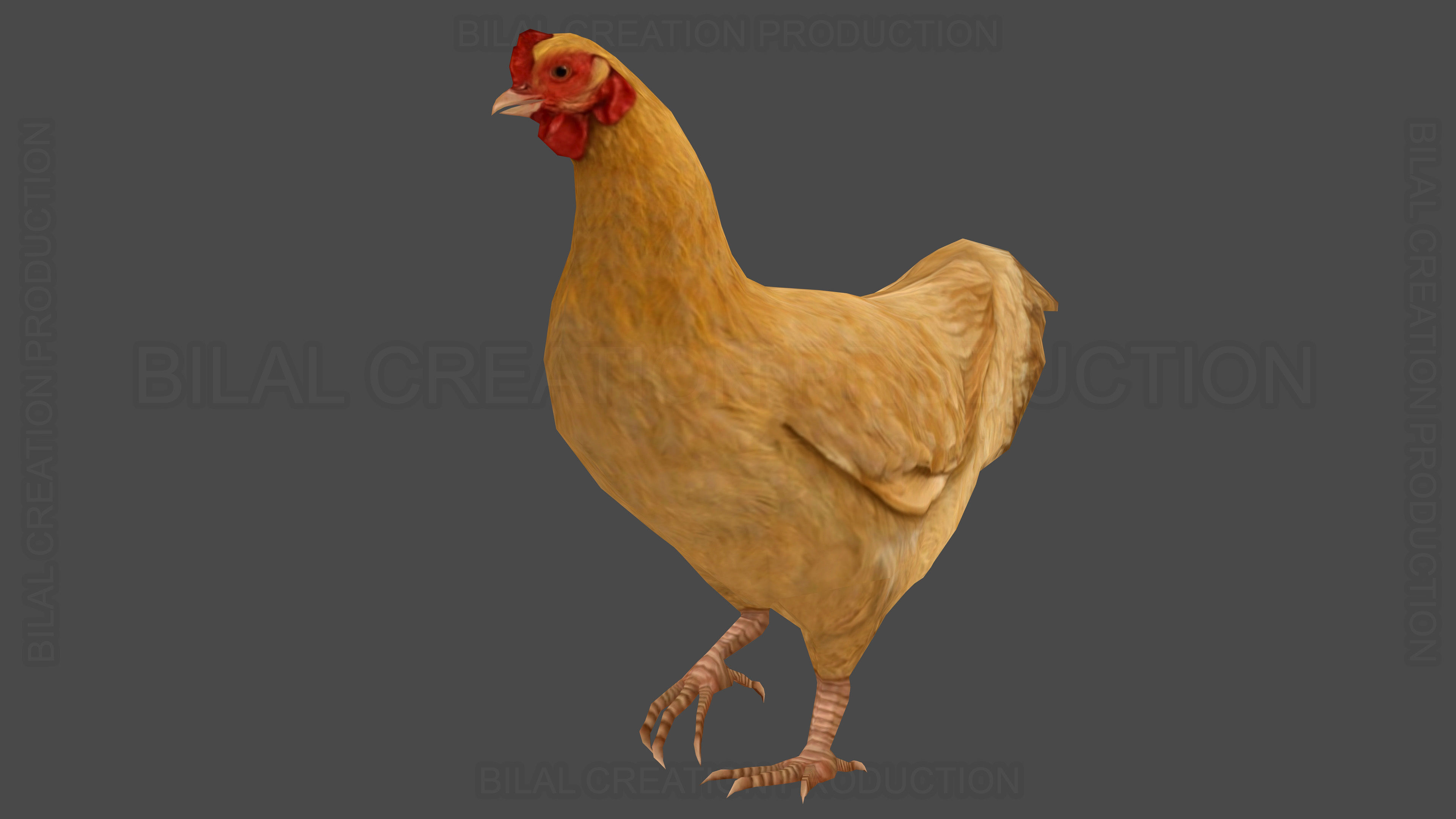 Hen chicken Animated Low-poly 3D model_15