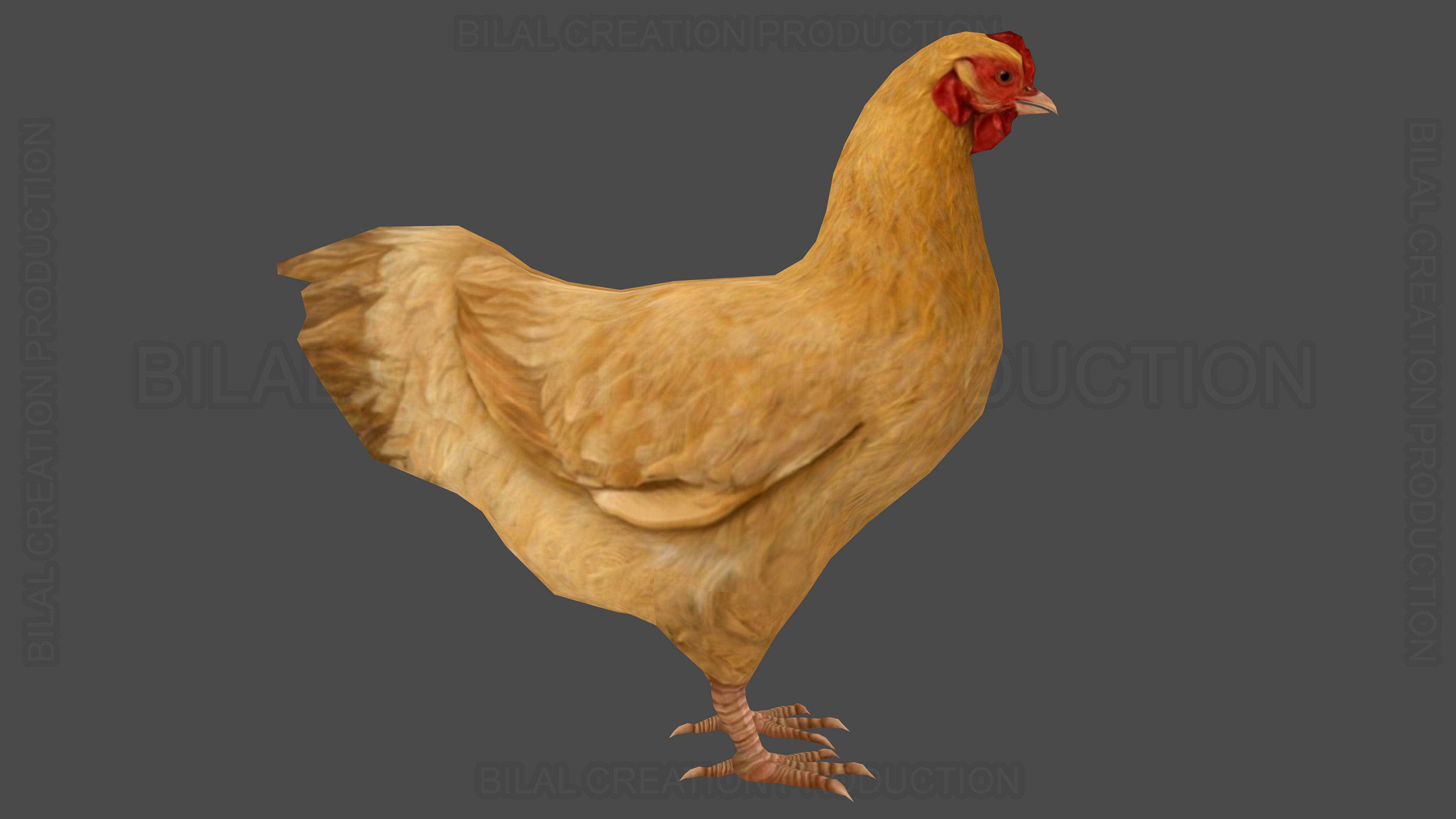 Hen chicken Animated Low-poly 3D model_13