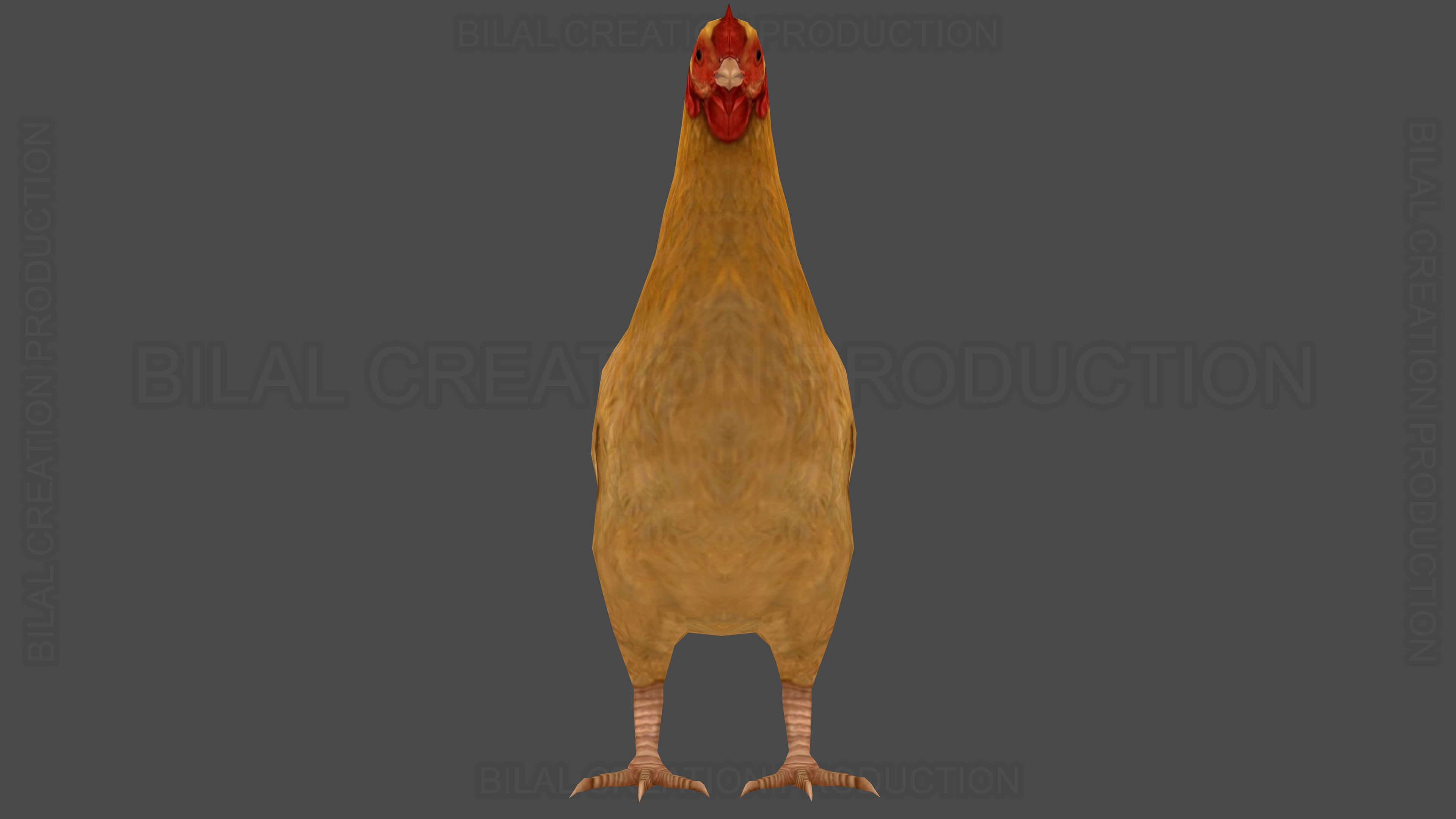 Hen chicken Animated Low-poly 3D model_5